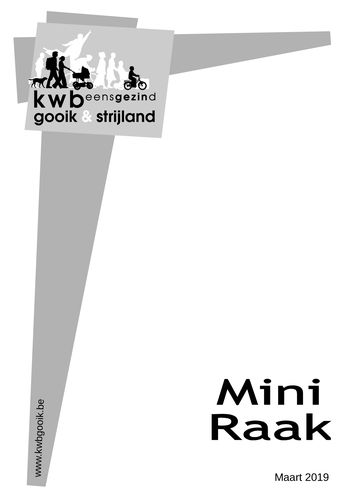 Kaft van Mini Raak 201903